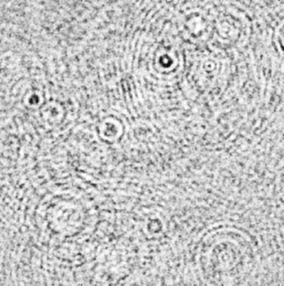 DH-NTA interferometric image of single nanoparticles