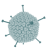 Image1